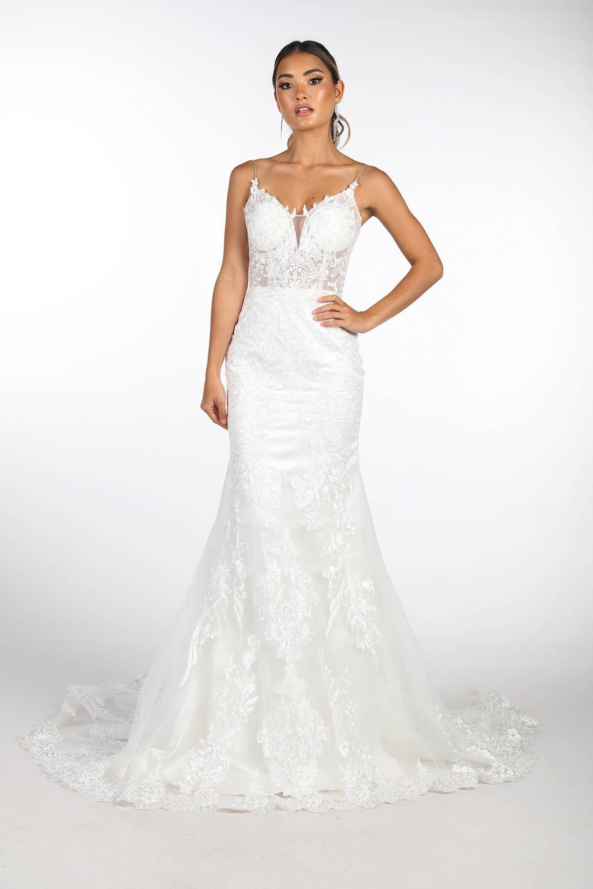 Ivory Coloured Full Length Lace Wedding Gown featuring Deep Illusion V-Neck, Thin Shoulder Straps, Lace Motifs on Tulle over Chantilly Lace from the Bodice Trailing Down on the Dramatic Scalloped Train